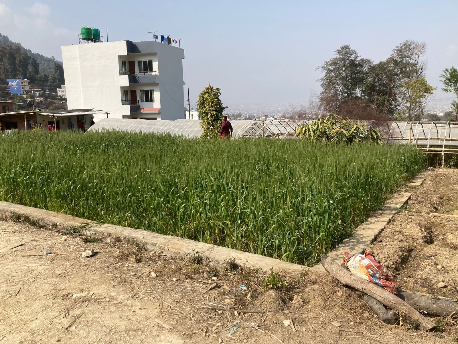 Picture of Mahalaxmi Municipality, Bagmati